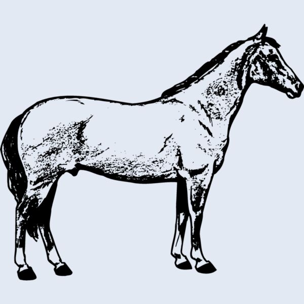 HORSE020 Thumbnail