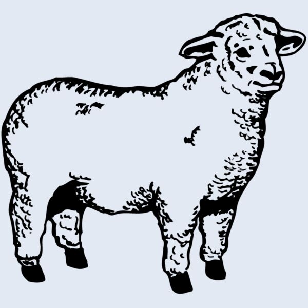 SHEEP003 Thumbnail