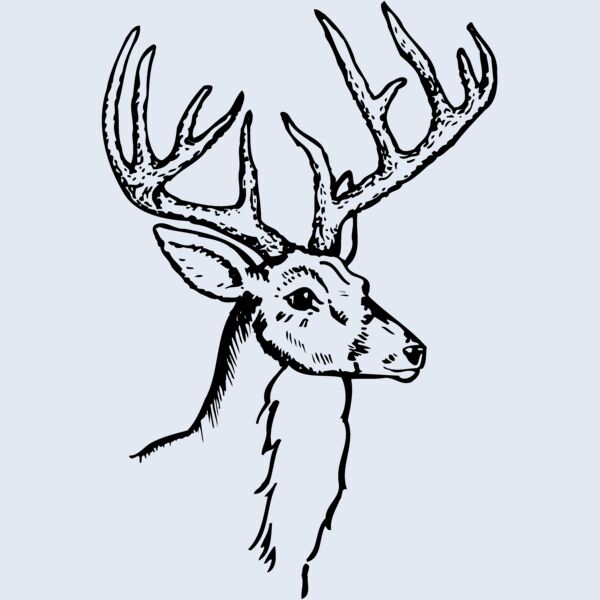 DEER017 Thumbnail