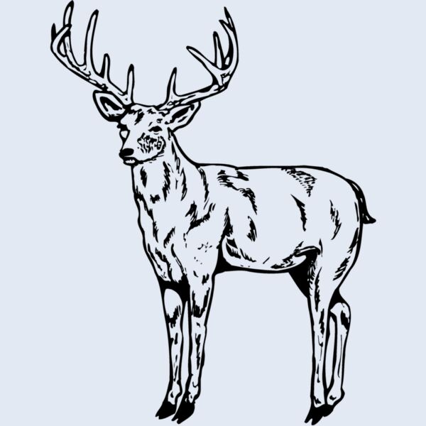 DEER021 Thumbnail