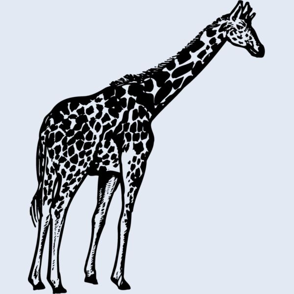 GIRAFF02 Thumbnail