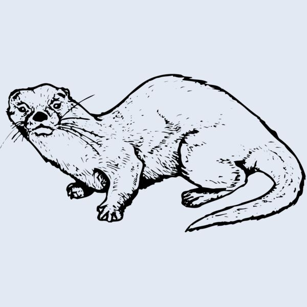 OTTER002 Thumbnail
