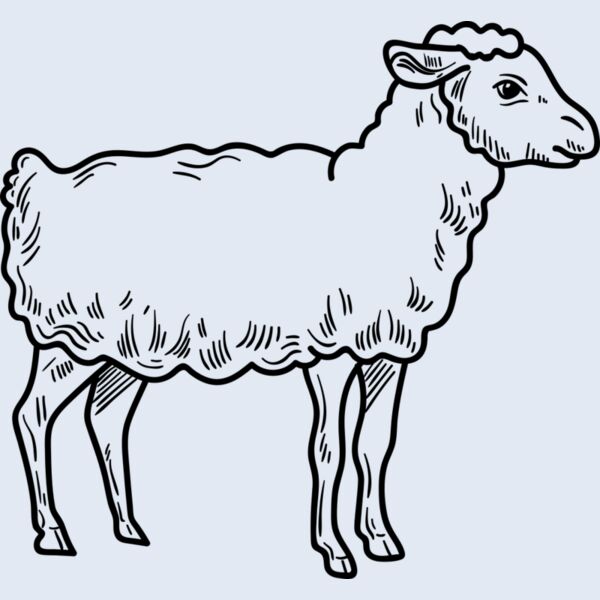 Lamb   Clipart 3 Thumbnail