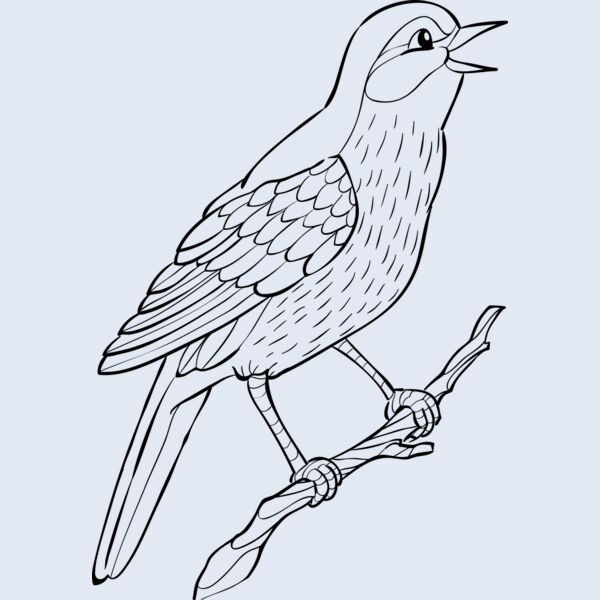 Nightingale   Clipart 2 Thumbnail