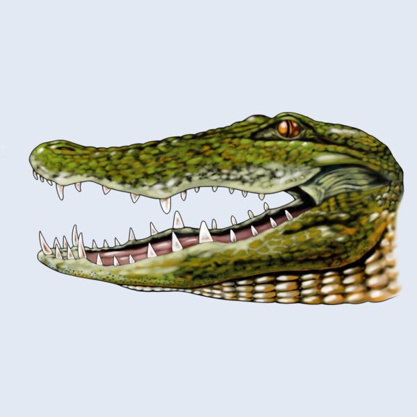 GATOR Thumbnail