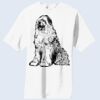 Copy of Essential T Shirt Thumbnail