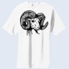 Copy of Essential T Shirt Thumbnail