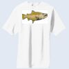 Copy of Essential T Shirt Thumbnail