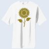 Copy of Essential T Shirt Thumbnail