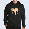 Sport Wick ® Fleece Hooded Pullover Thumbnail