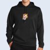 Sport Wick ® Fleece Hooded Pullover Thumbnail